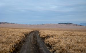 Preview wallpaper field, grass, road, turn, horizon