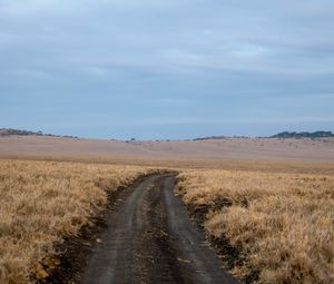 Preview wallpaper field, grass, road, turn, horizon