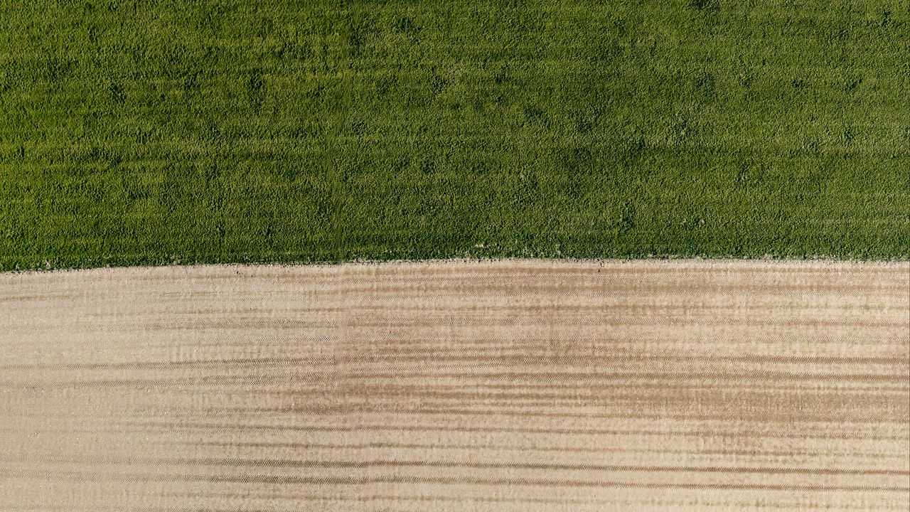 Wallpaper field, grass, sand, aerial view