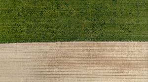 Preview wallpaper field, grass, sand, aerial view