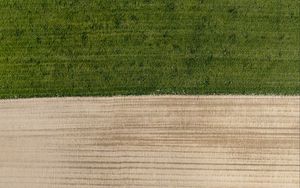 Preview wallpaper field, grass, sand, aerial view