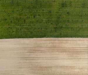 Preview wallpaper field, grass, sand, aerial view