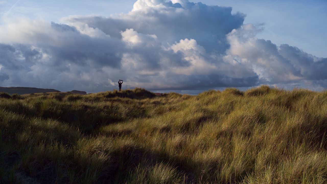 Wallpaper field, grass, silhouette, clouds, landscape