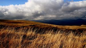 Preview wallpaper field, grass, sky, clouds
