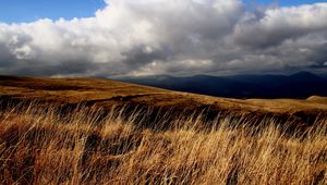 Preview wallpaper field, grass, sky, clouds