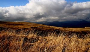 Preview wallpaper field, grass, sky, clouds
