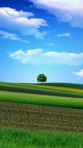 Preview wallpaper field, grass, sky, tree, beautiful