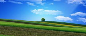 Preview wallpaper field, grass, sky, tree, beautiful