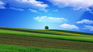 Preview wallpaper field, grass, sky, tree, beautiful