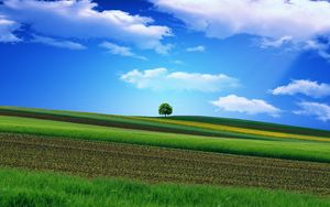 Preview wallpaper field, grass, sky, tree, beautiful