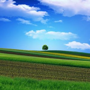 Preview wallpaper field, grass, sky, tree, beautiful