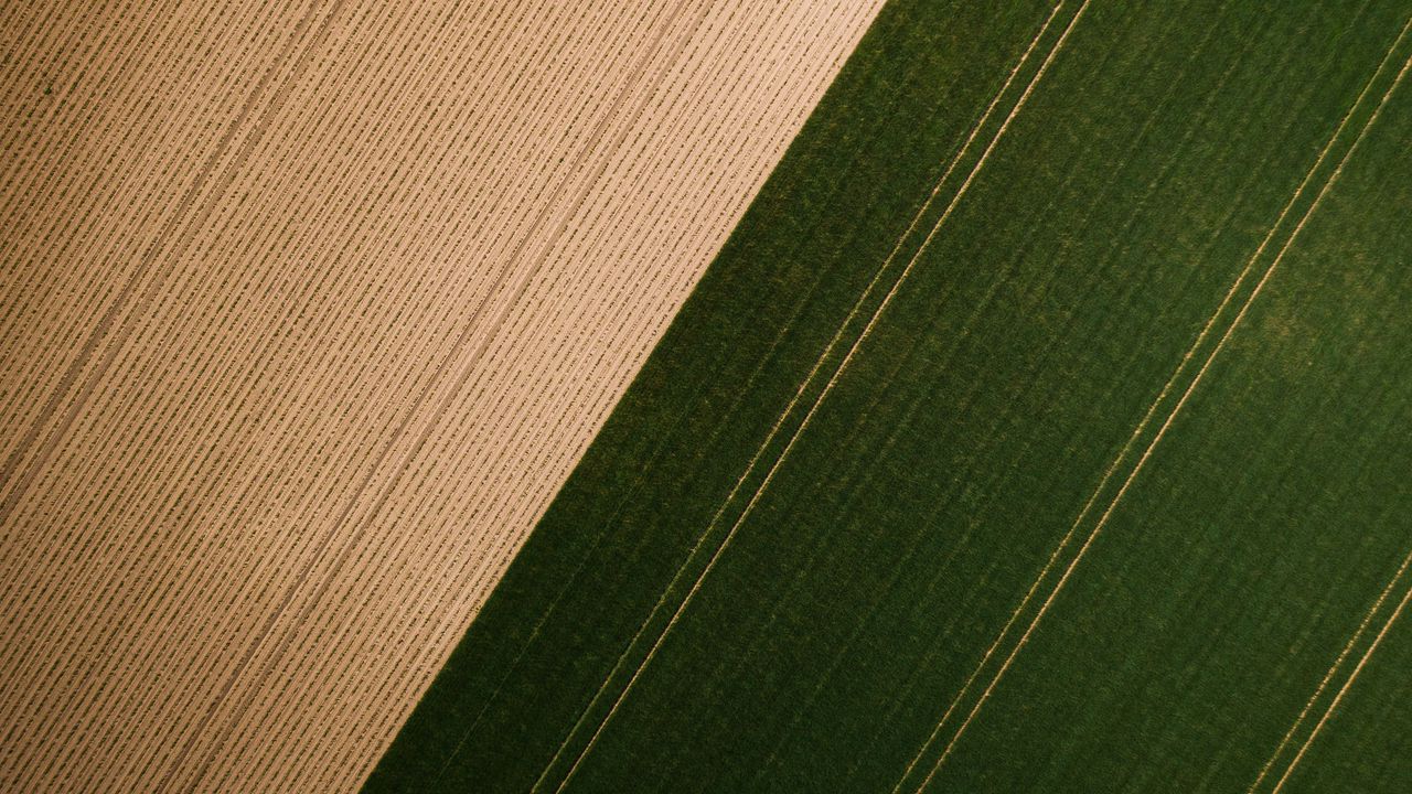 Wallpaper field, grass, stripes, aerial view