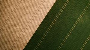 Preview wallpaper field, grass, stripes, aerial view