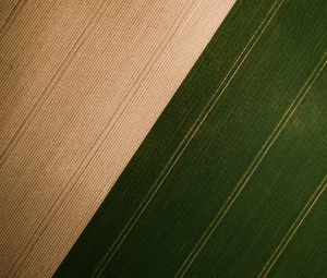 Preview wallpaper field, grass, stripes, aerial view