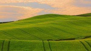 Preview wallpaper field, grass, summer, sky, beautiful