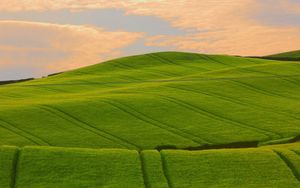 Preview wallpaper field, grass, summer, sky, beautiful