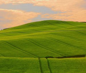 Preview wallpaper field, grass, summer, sky, beautiful