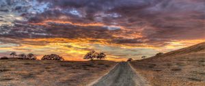 Preview wallpaper field, grass, sunset, hdr