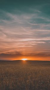 Preview wallpaper field, grass, sunset, sky