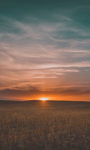 Preview wallpaper field, grass, sunset, sky