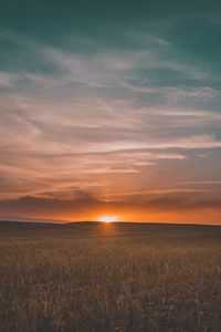 Preview wallpaper field, grass, sunset, sky