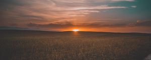 Preview wallpaper field, grass, sunset, sky