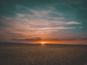 Preview wallpaper field, grass, sunset, sky