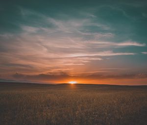 Preview wallpaper field, grass, sunset, sky