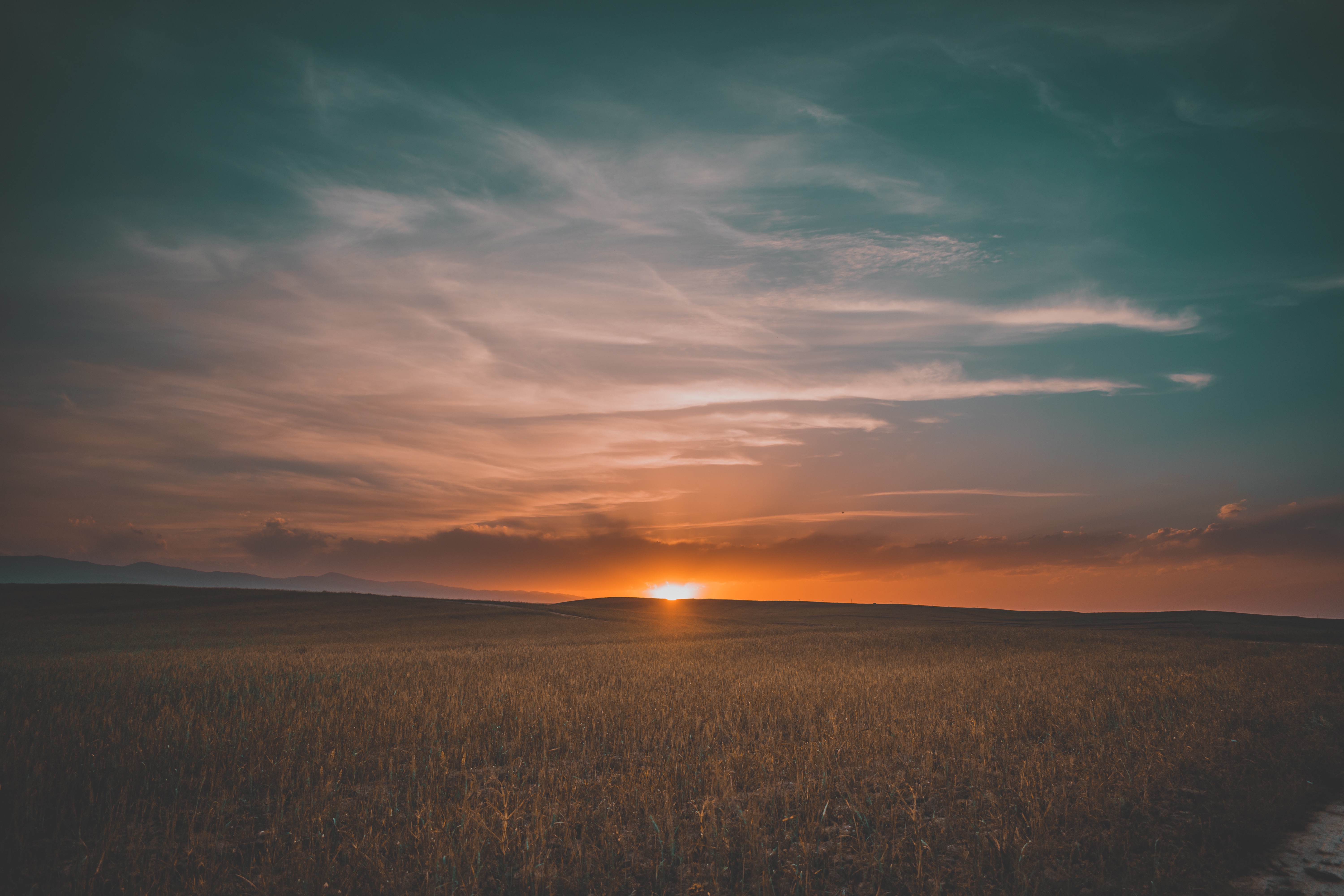 evening sky grass background