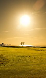 Preview wallpaper field, grass, tree, sunset, sky