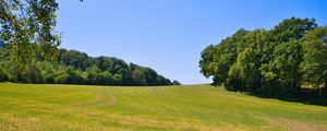 Preview wallpaper field, grass, trees, sky, landscape