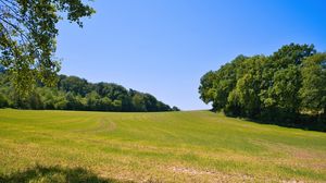 Preview wallpaper field, grass, trees, sky, landscape