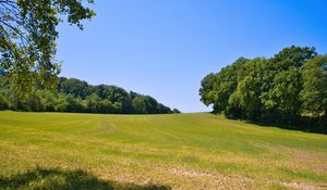 Preview wallpaper field, grass, trees, sky, landscape