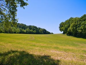 Preview wallpaper field, grass, trees, sky, landscape