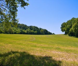 Preview wallpaper field, grass, trees, sky, landscape