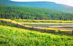 Preview wallpaper field, grass, trees, fence