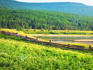 Preview wallpaper field, grass, trees, fence