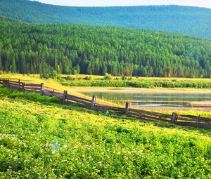 Preview wallpaper field, grass, trees, fence