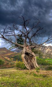 Preview wallpaper field, grass, trees, mountains, rocks, sky, hdr