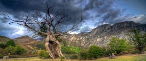 Preview wallpaper field, grass, trees, mountains, rocks, sky, hdr