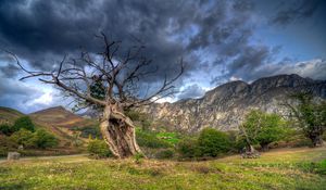 Preview wallpaper field, grass, trees, mountains, rocks, sky, hdr