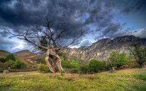 Preview wallpaper field, grass, trees, mountains, rocks, sky, hdr