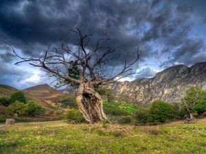 Preview wallpaper field, grass, trees, mountains, rocks, sky, hdr