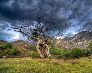 Preview wallpaper field, grass, trees, mountains, rocks, sky, hdr