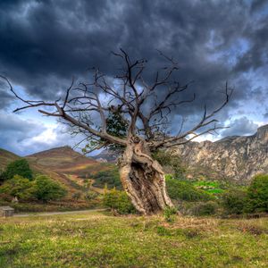 Preview wallpaper field, grass, trees, mountains, rocks, sky, hdr