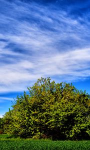 Preview wallpaper field, grass, trees, sky, summer