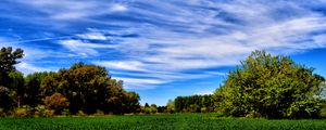 Preview wallpaper field, grass, trees, sky, summer