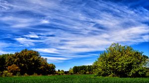 Preview wallpaper field, grass, trees, sky, summer