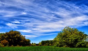 Preview wallpaper field, grass, trees, sky, summer