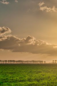 Preview wallpaper field, grass, trees, clouds, nature